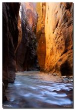 light from above zion np ut.jpg